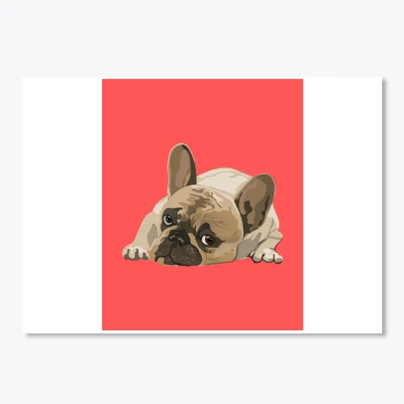 Laying French bulldog