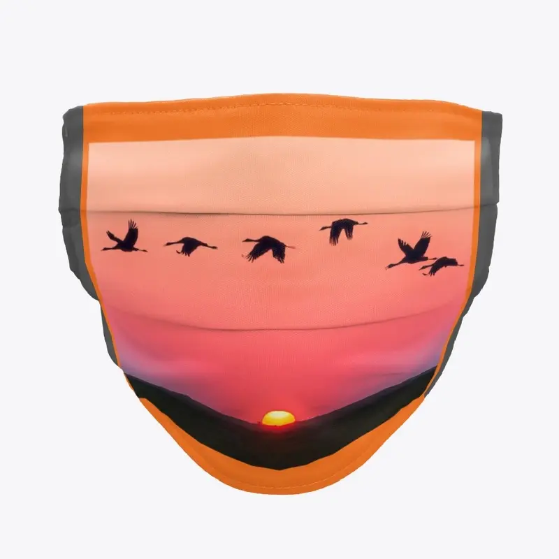 Sunset birds