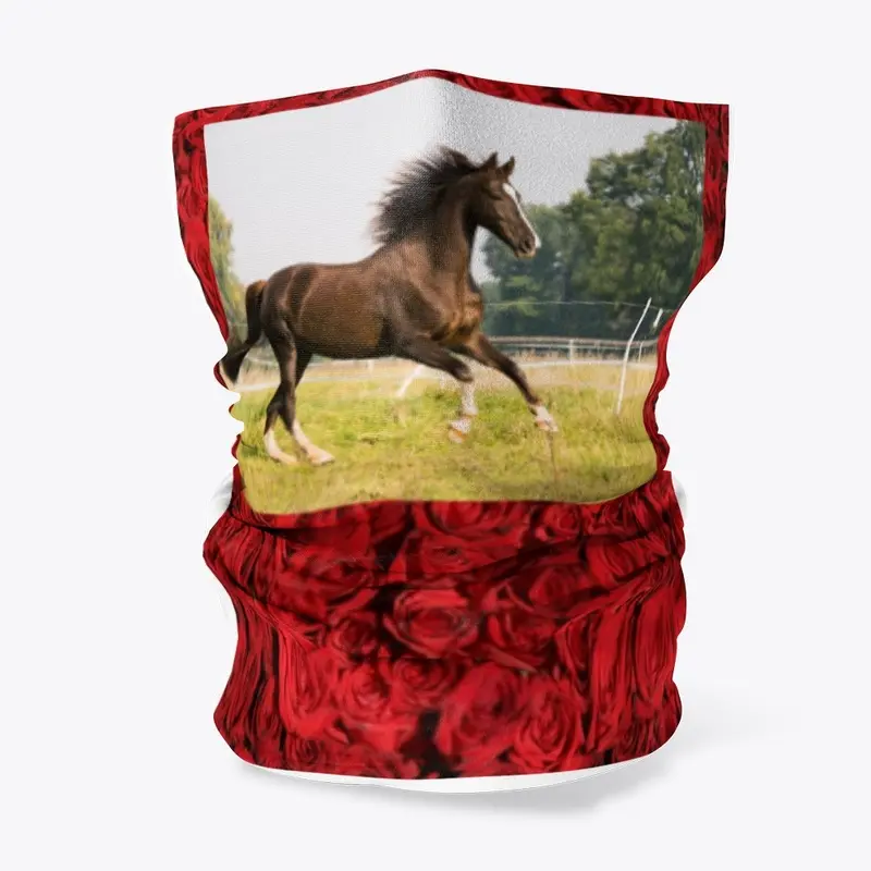 Horse and roses